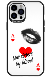 Not by Blood 2.0 - Apple iPhone 12 Pro Max
