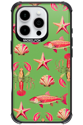 Sea Stars - Apple iPhone 16 Pro