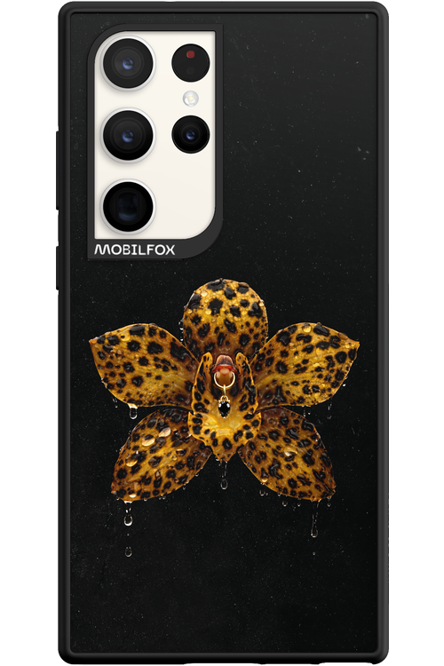 Wet & Wild 2.0 - Samsung Galaxy S23 Ultra