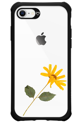 Pressed Flower - Apple iPhone 8