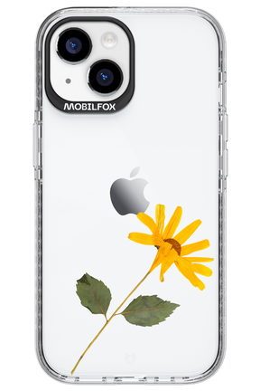 Pressed Flower - Apple iPhone 15