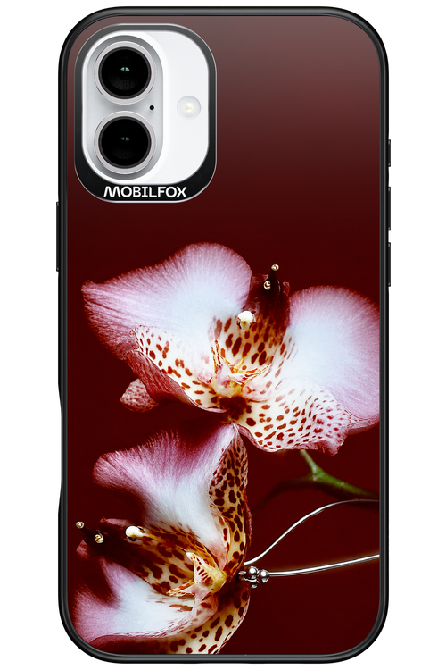 Leobloomy 2.0 - Apple iPhone 16 Plus