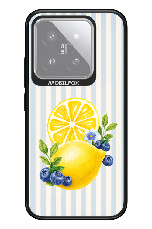 Fresh Flash 2.0 - Xiaomi 14