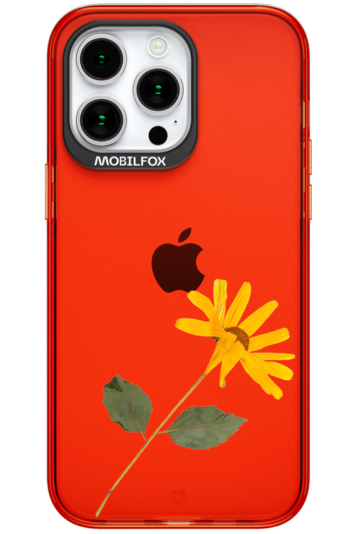 Pressed Flower - Apple iPhone 15 Pro Max