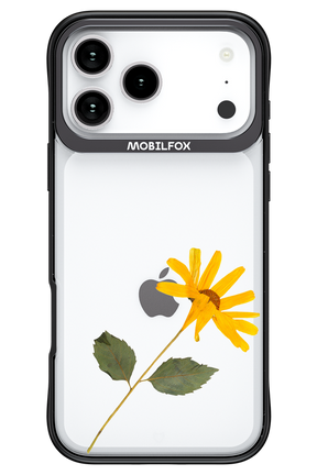 Pressed Flower - Apple iPhone 17 Pro Max