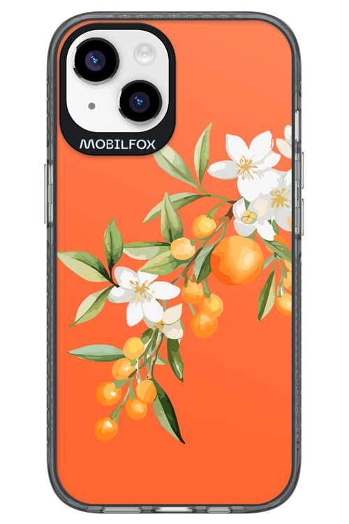 Amalfi Oranges - Apple iPhone 14