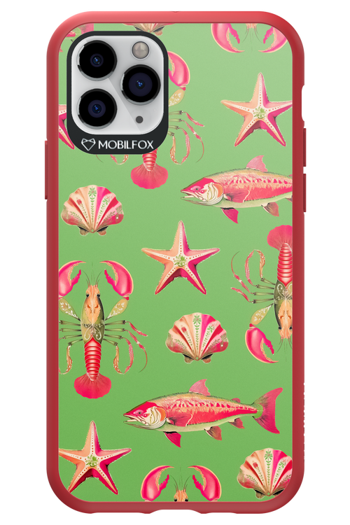 Sea Stars - Apple iPhone 11 Pro