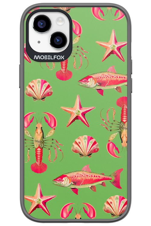 Sea Stars - Apple iPhone 14 Plus