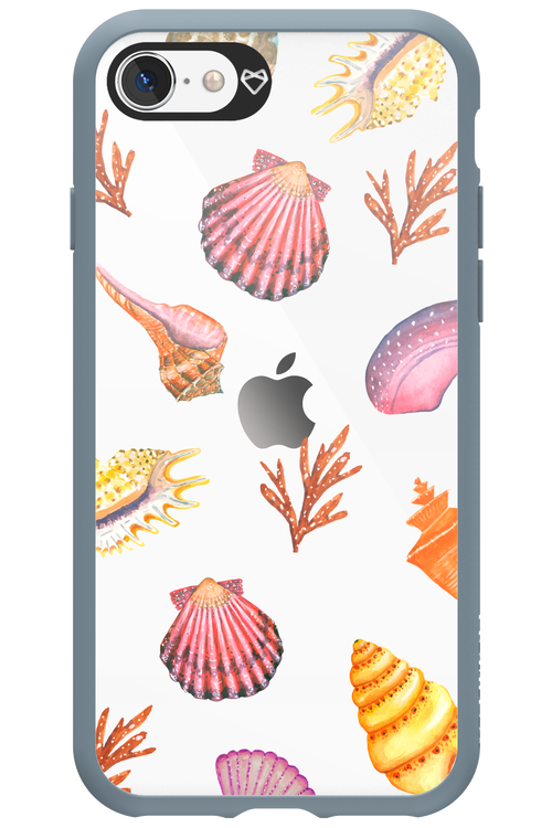 Sea Shells - Apple iPhone SE 2020