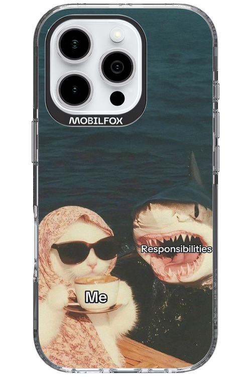 Responsibilities - Apple iPhone 16 Pro