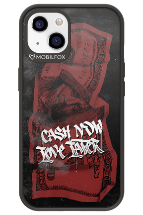 Liquid Assets - Apple iPhone 13