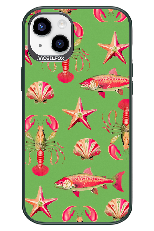 Sea Stars - Apple iPhone 14 Plus