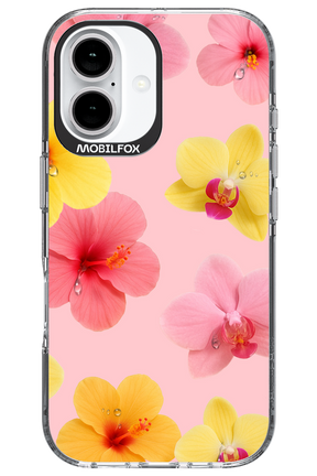 Sunset Flowers - Apple iPhone 16