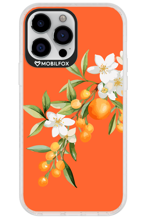 Amalfi Oranges - Apple iPhone 13 Pro Max