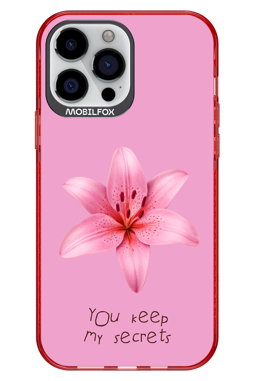 Secrets 2.0 - Apple iPhone 13 Pro Max