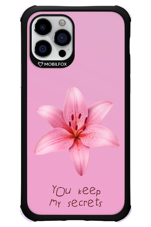 Secrets 2.0 - Apple iPhone 12 Pro
