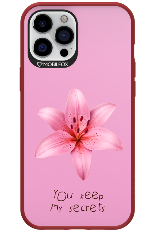 Secrets 2.0 - Apple iPhone 12 Pro Max