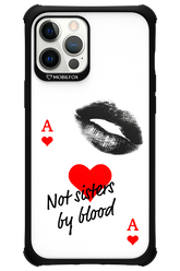 Not by Blood 2.0 - Apple iPhone 12 Pro Max