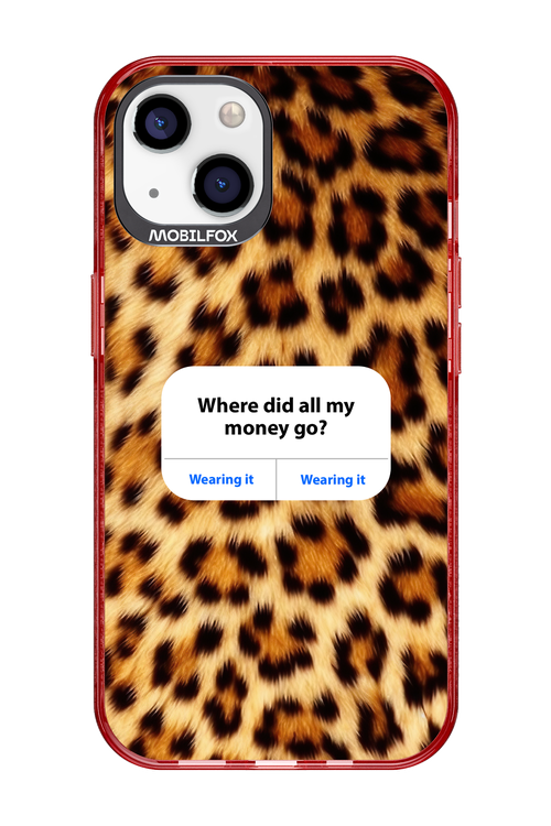 My Money 2.0 - Apple iPhone 13