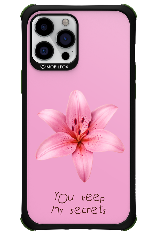 Secrets - Apple iPhone 12 Pro Max