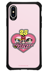 The Powerpuff Girls 25 - Apple iPhone X