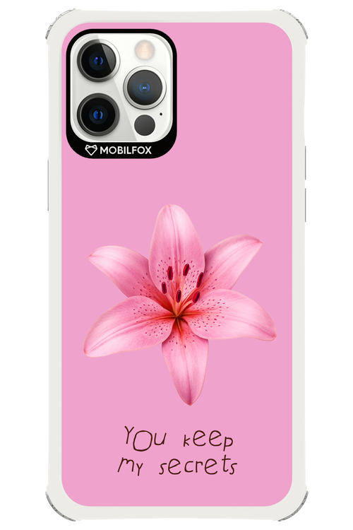 Secrets - Apple iPhone 12 Pro Max