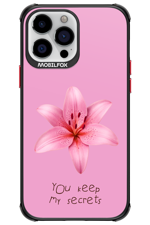 Secrets - Apple iPhone 13 Pro Max