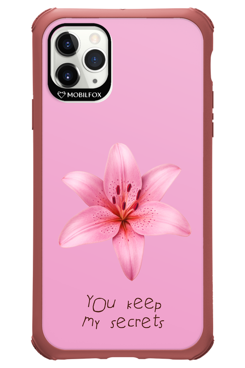 Secrets - Apple iPhone 11 Pro Max