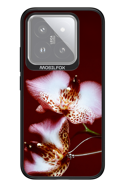 Leobloomy 2.0 - Xiaomi 14