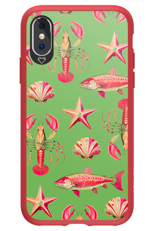 Sea Stars - Apple iPhone XS