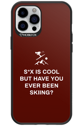 Have You Ever - Apple iPhone 12 Pro Max