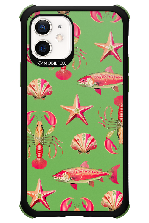 Sea Stars - Apple iPhone 12