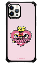 The Powerpuff Girls 25 - Apple iPhone 12 Pro