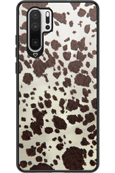 Appaloosa 2.0 - Huawei P30 Pro