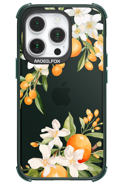 Amalfi Orange 2.0 - Apple iPhone 14 Pro