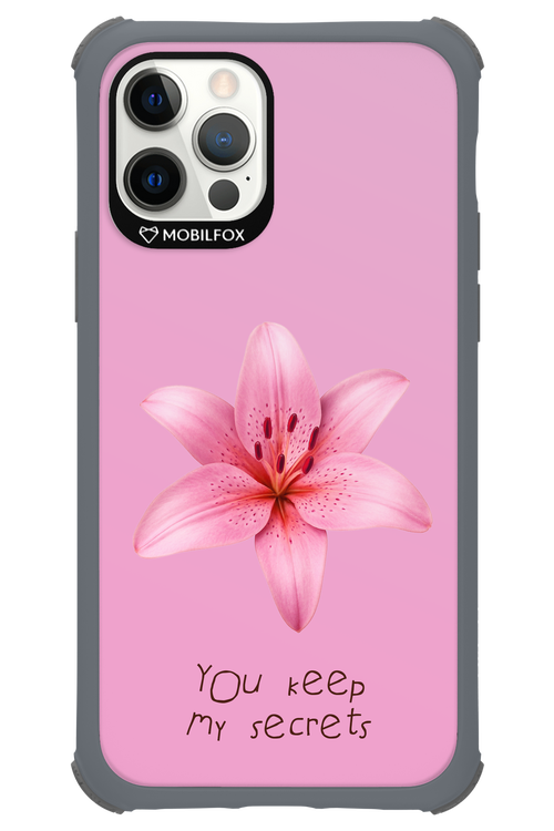 Secrets - Apple iPhone 12 Pro