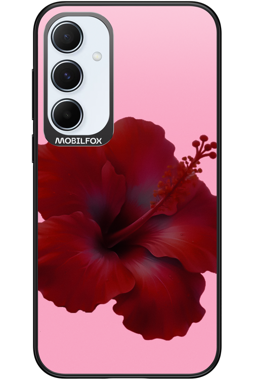 HibiGundy - Samsung Galaxy A55