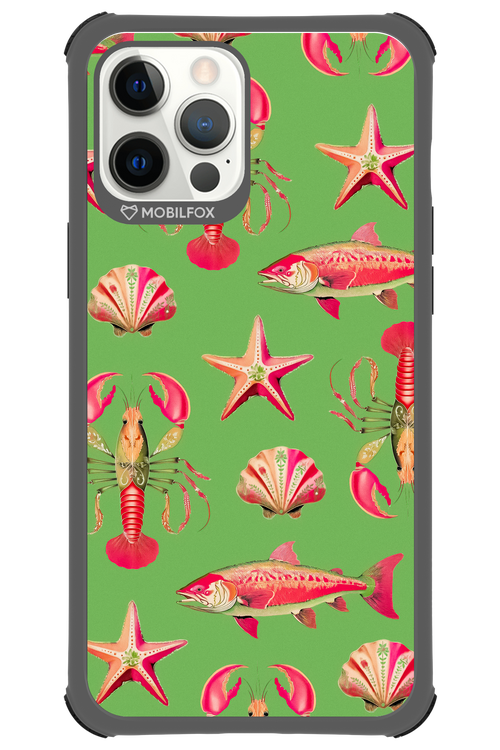 Sea Stars - Apple iPhone 12 Pro Max