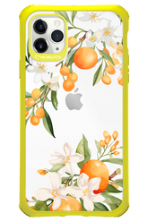 Amalfi Orange - Apple iPhone 11 Pro Max