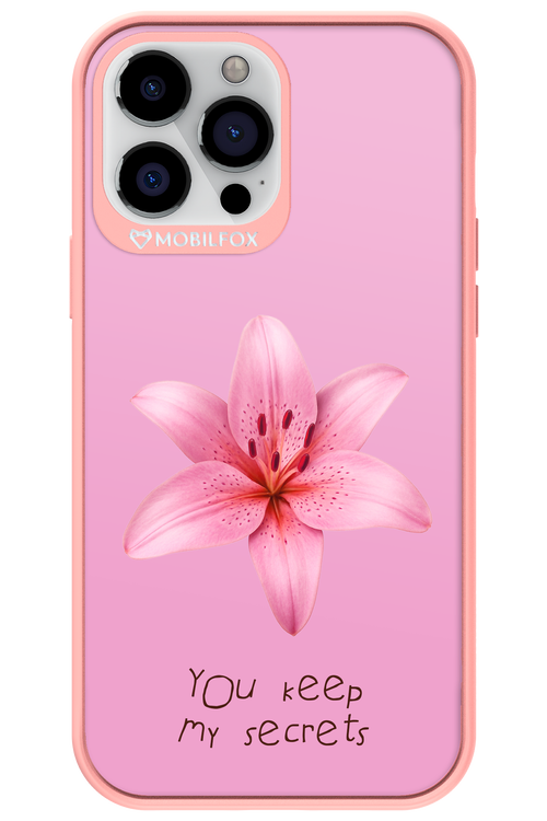 Secrets - Apple iPhone 13 Pro Max