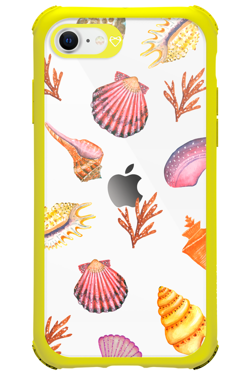 Sea Shells - Apple iPhone SE 2020