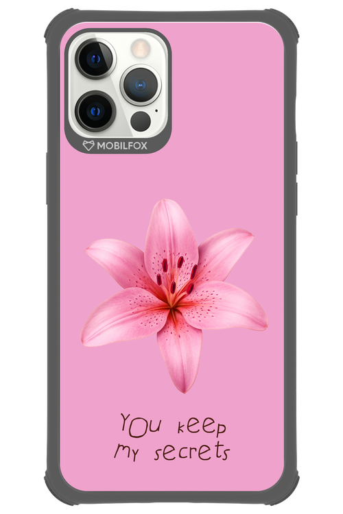 Secrets 2.0 - Apple iPhone 12 Pro Max