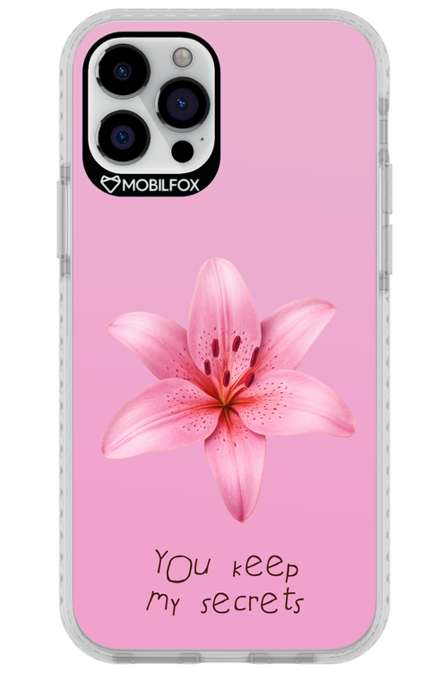 Secrets 2.0 - Apple iPhone 12 Pro