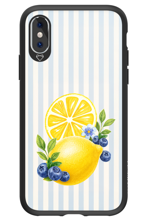 Fresh Flash 2.0 - Apple iPhone XS