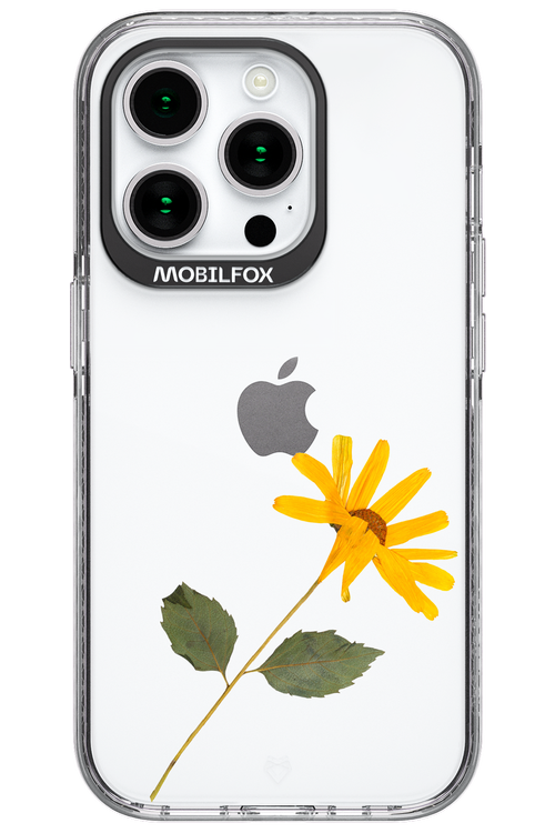 Pressed Flower - Apple iPhone 15 Pro