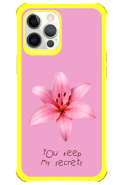 Secrets 2.0 - Apple iPhone 12 Pro Max