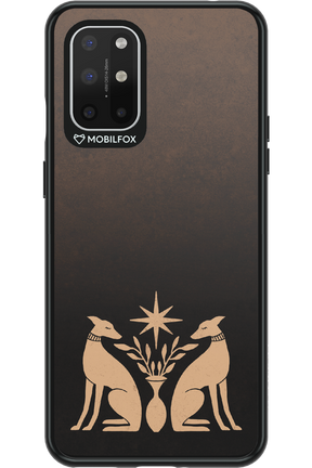 Greyhound Garden - OnePlus 8T