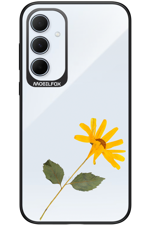 Pressed Flower - Samsung Galaxy A35