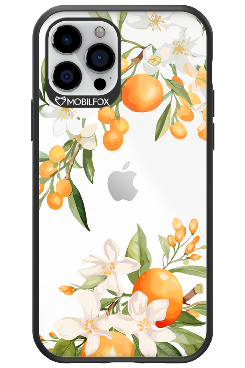 Amalfi Orange 2.0 - Apple iPhone 12 Pro