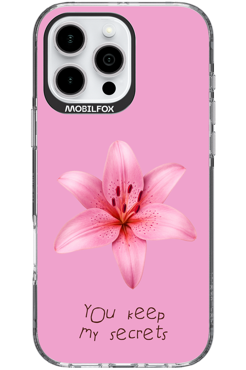 Secrets - Apple iPhone 16 Pro Max